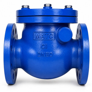 CAST IRON SWING CHECK VALVE IN DUBAI U.A.E
