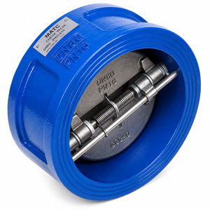 CAST IRON WAFER TYPE CHECK VALVE IN DUBAI U.A.E