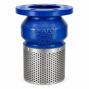 CAST IRON FLANGED END FOOT VALVE IN DUBAI U.A.E