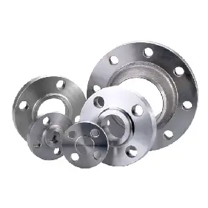 Stainless Steel (SS) Flanges