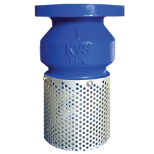 strainer valve