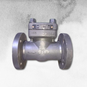 CAST STEEL CHECK VALVE IN DUBAI U.A.E