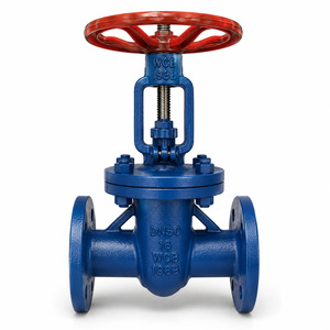 PTFE LINED GATE VALVE IN DUBAI U.A.E