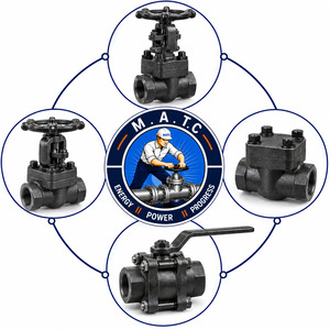 FORGED CARBON STEEL VALVES