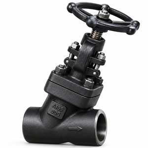 FORGED STEEL Y TYPE GLOBE VALVE IN DUBAI U.A.E